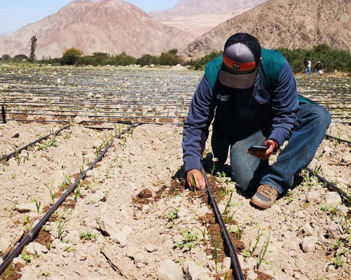 agricultor-fondo