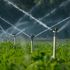 Aspersor agrícola